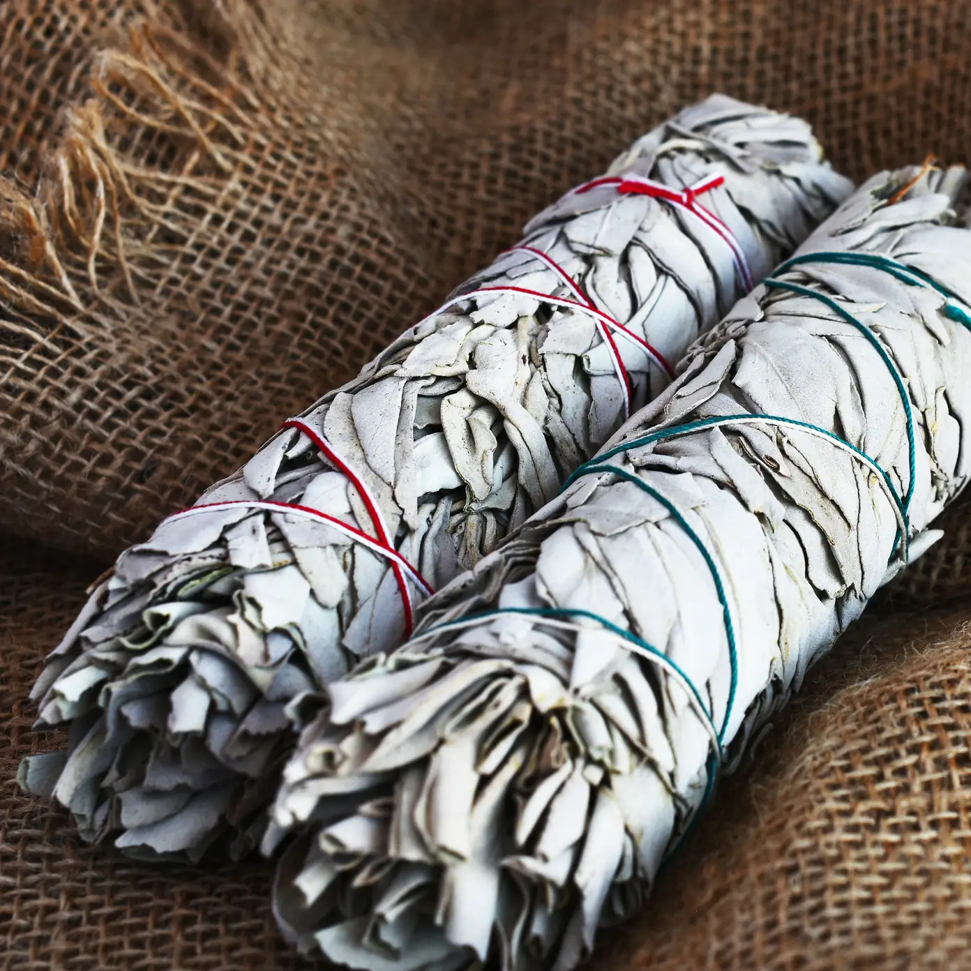 Weißer Salbei-Bündel – Reinigen, Klären & Erden 🌿✨