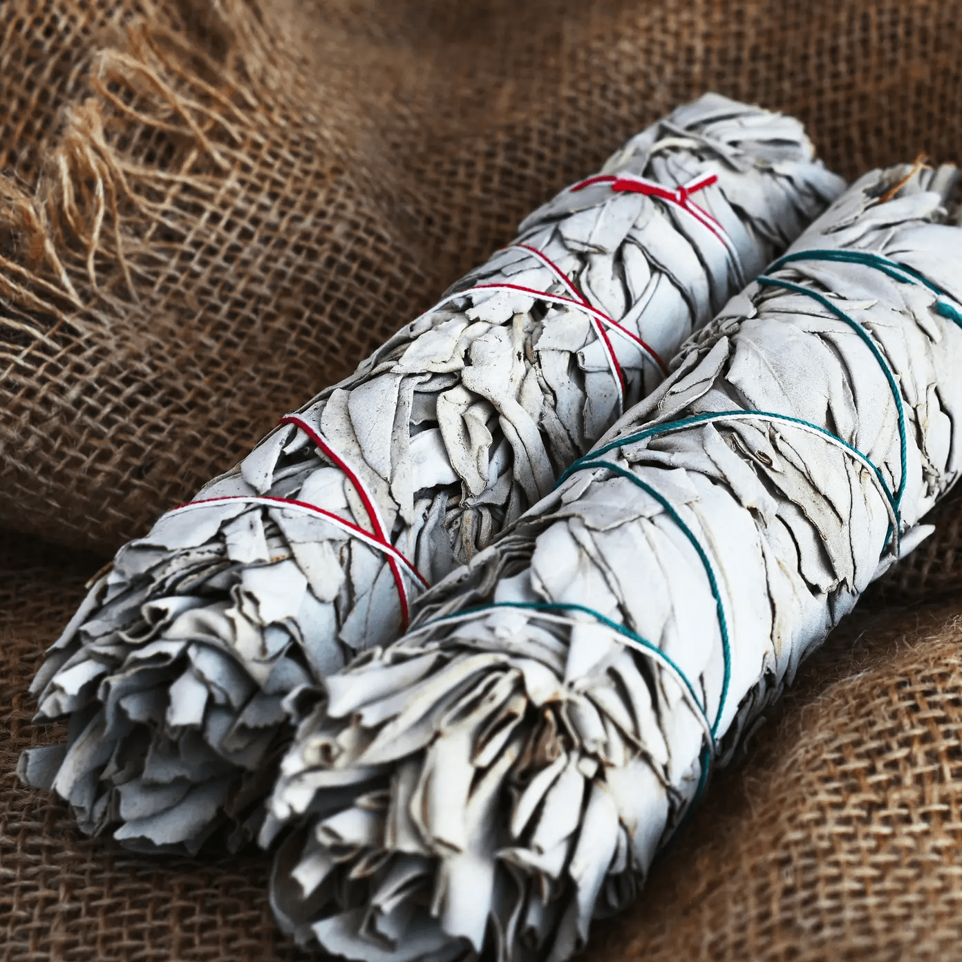 Weißer Salbei - Bündel – Reinigen, Klären & Erden 🌿✨ - Honey Jewelry