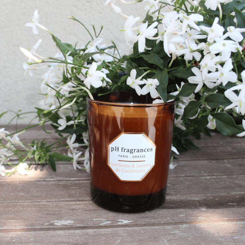 Duftkerze - Gardenia & Jasmin de Cachemire - Honey Jewelry