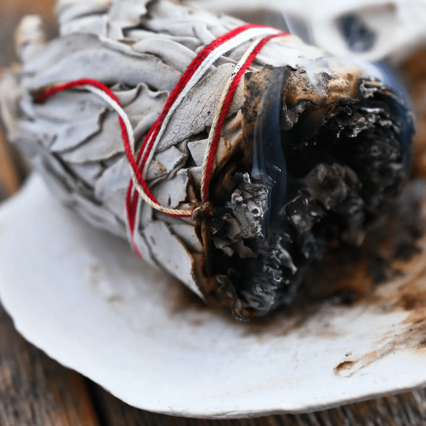 Weißer Salbei - Bündel – Reinigen, Klären & Erden 🌿✨ - Honey Jewelry