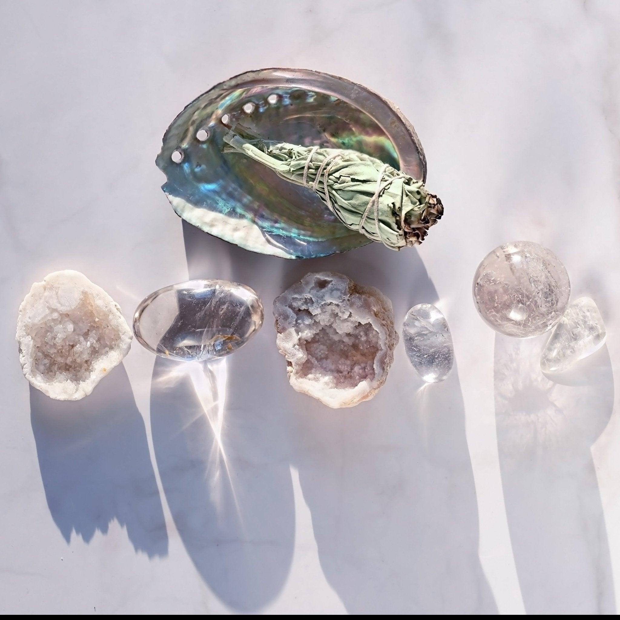 Kleine Abalone - Muschel - Honey Jewelry